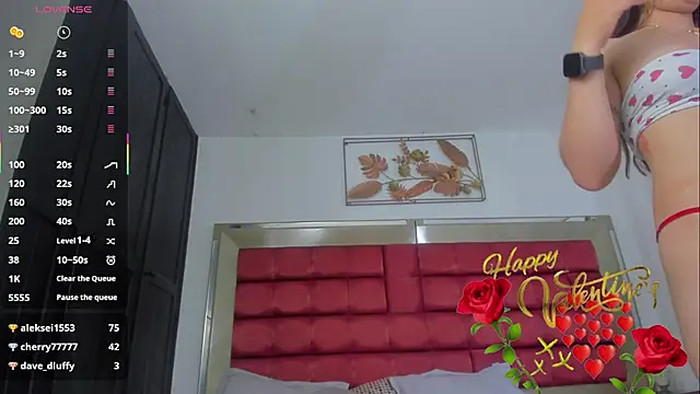 CatalinaBlaze webcam