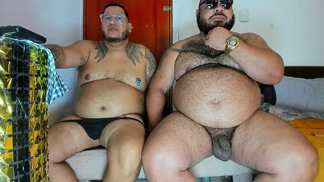 Bearspigdirty webcam