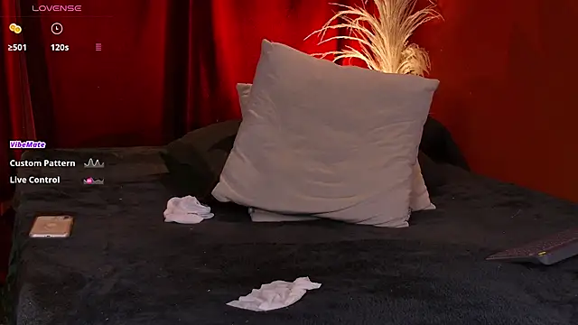 VicenteFerrer webcam