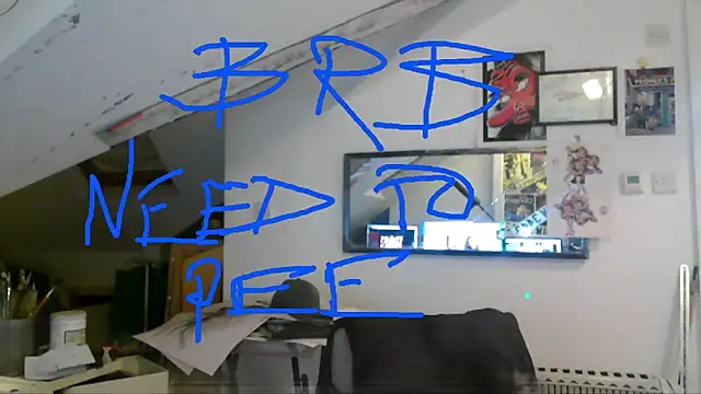 mista_sista_fista webcam