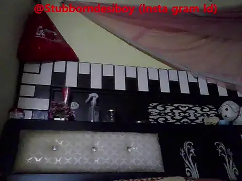 Stubborndesiboy webcam