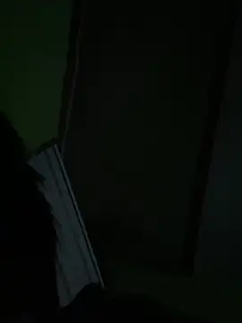 SpritzedManakin webcam