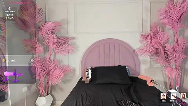 Tamaramilleer webcam