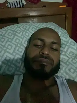 islandvybee55 webcam