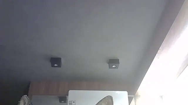 SkinnyKitten webcam