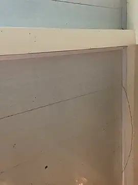 Edward_Milleer webcam