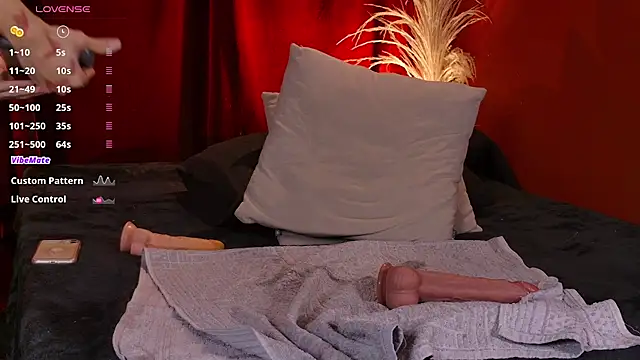 VicenteFerrer webcam