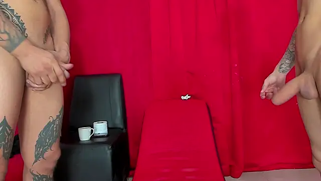 Extreme_Team8 webcam