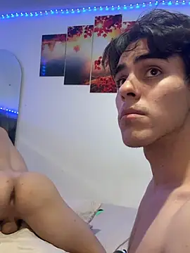 Alex_and_Fabian webcam