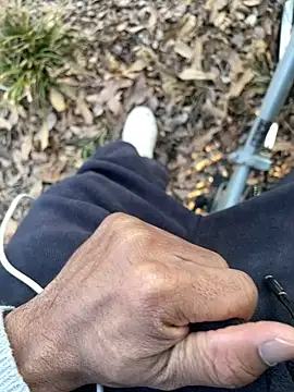 SL_NIKI_PUBLIC webcam