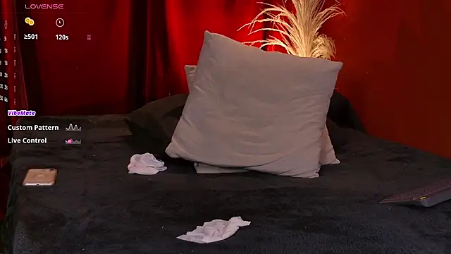 VicenteFerrer webcam