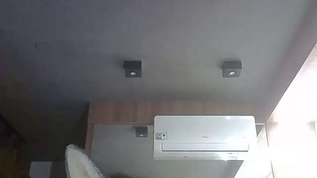 SkinnyKitten webcam