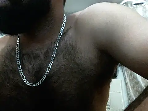 indianhairybull webcam