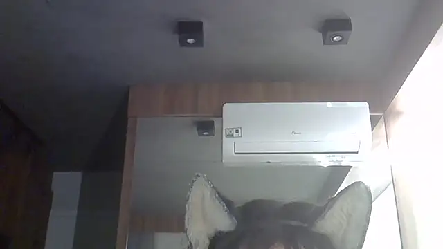 SkinnyKitten webcam