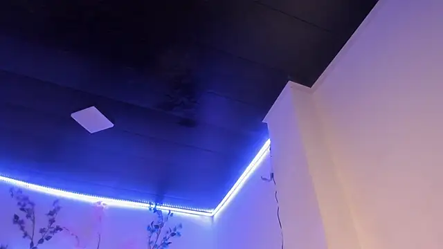 abbiecollins_js webcam