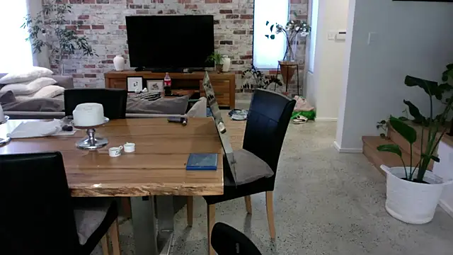 fireearthwaterair webcam