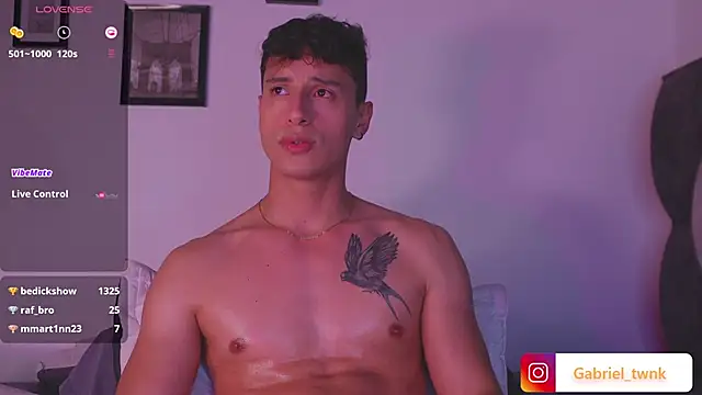 I_Gabriel webcam