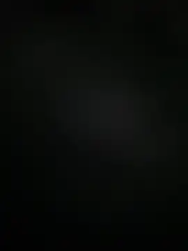 Franklinsaulo webcam