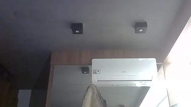 SkinnyKitten webcam