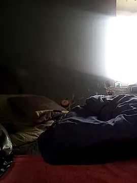 Jarektchurzewski webcam