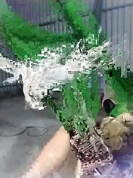 linda_bae00 - Linda_bae00's free webcam - UK Sex Cams