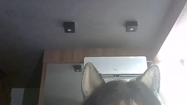 SkinnyKitten webcam