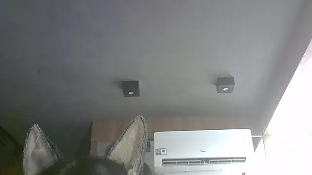 SkinnyKitten webcam