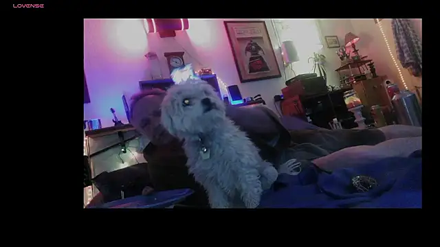 Pussyeat2please webcam