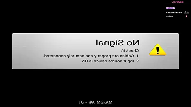 disco_elysium webcam