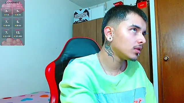 Hgp3riodictabl3 webcam