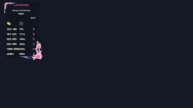 LindyUnderkoffler webcam