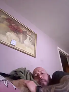 curis4270panda webcam