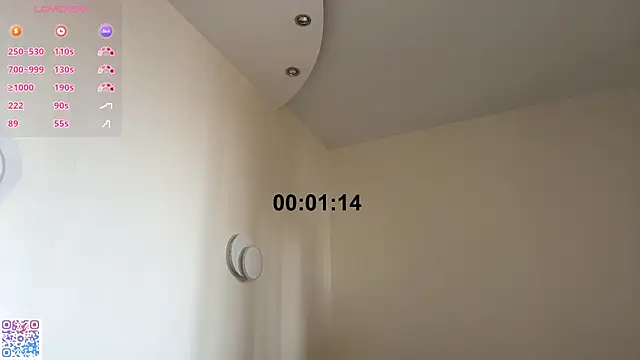 DestinyTurner webcam