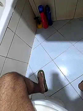 dream_catcher webcam