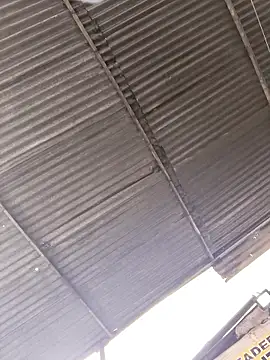 fire_menxxx001 webcam