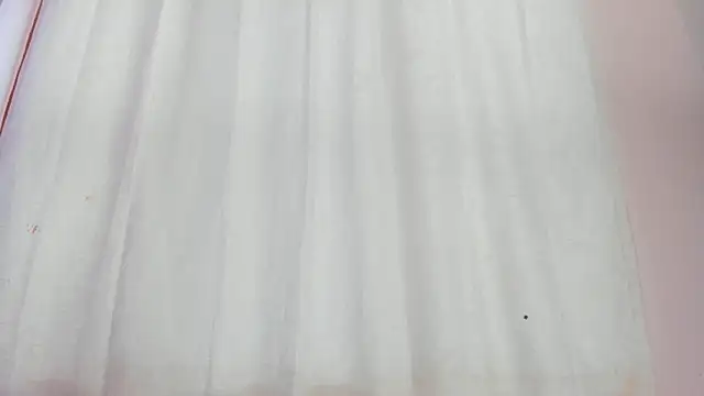 camillo_virgil webcam