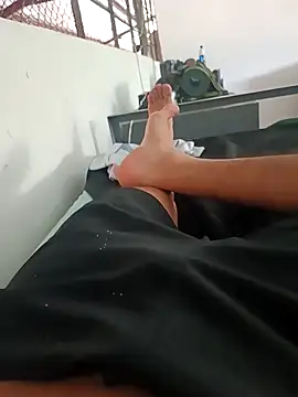 MonasticCanine webcam