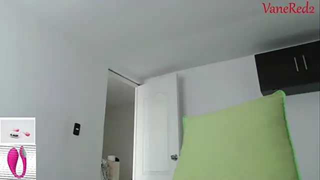 vanered2 webcam