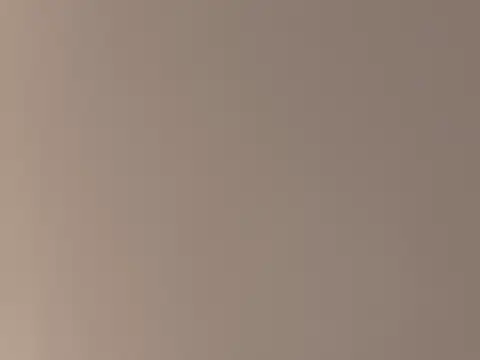 BroodedUlster webcam