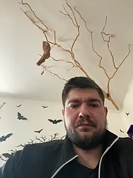 LienalWarplane webcam