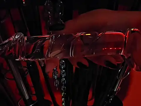 _MissJaneWarren_ webcam