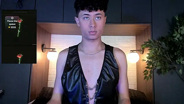 Noah_dupont_ webcam