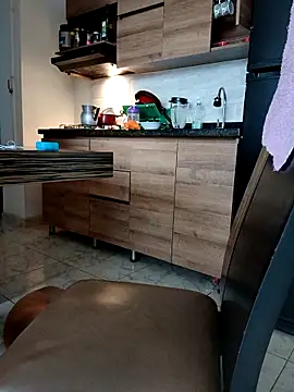 LEIRIS_Y_FRED_01 webcam