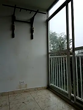 LEIRIS_Y_FRED_01 webcam