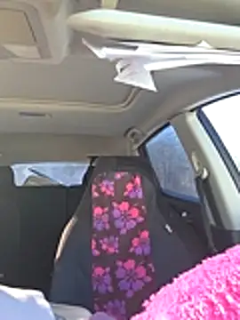 BeautifulFire23 webcam