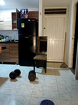 LEIRIS_Y_FRED_01 webcam