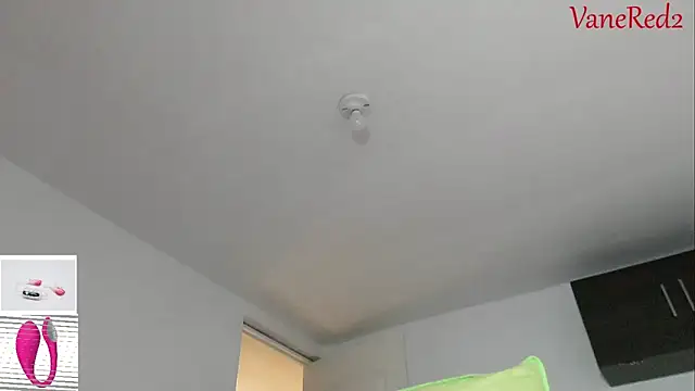 vanered2 webcam