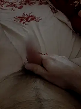 INDRAGOSTITUL webcam