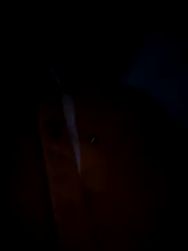 pleasure_of_life webcam