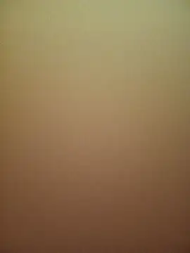 kevinmicheall webcam